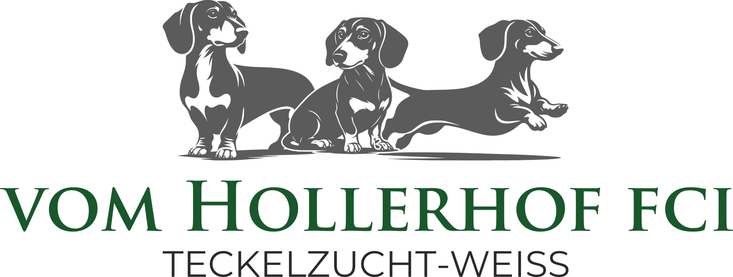 teckelzucht-weiss.de